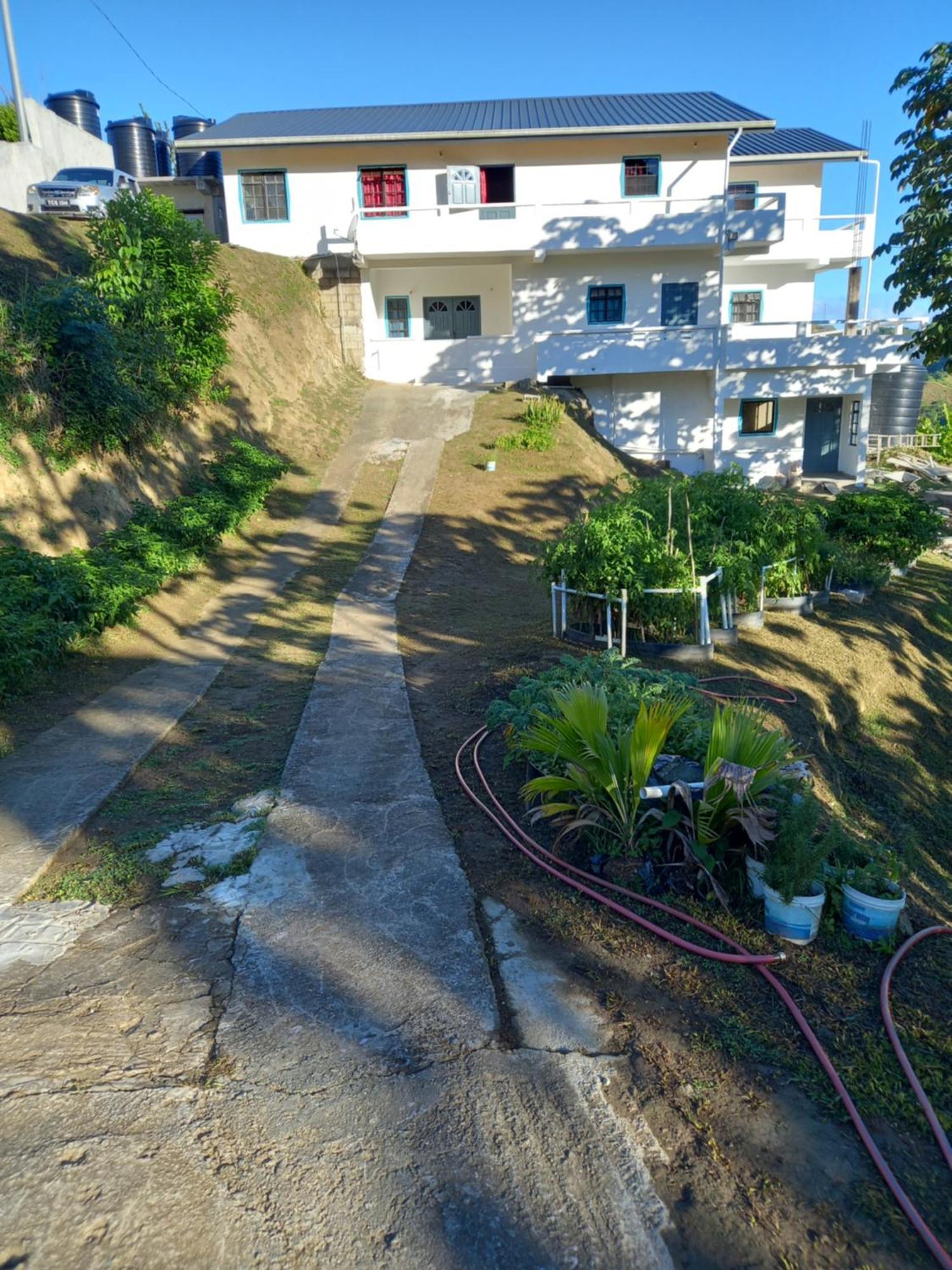 Parakeet Hideaway Apartment Mason Hall Exterior photo